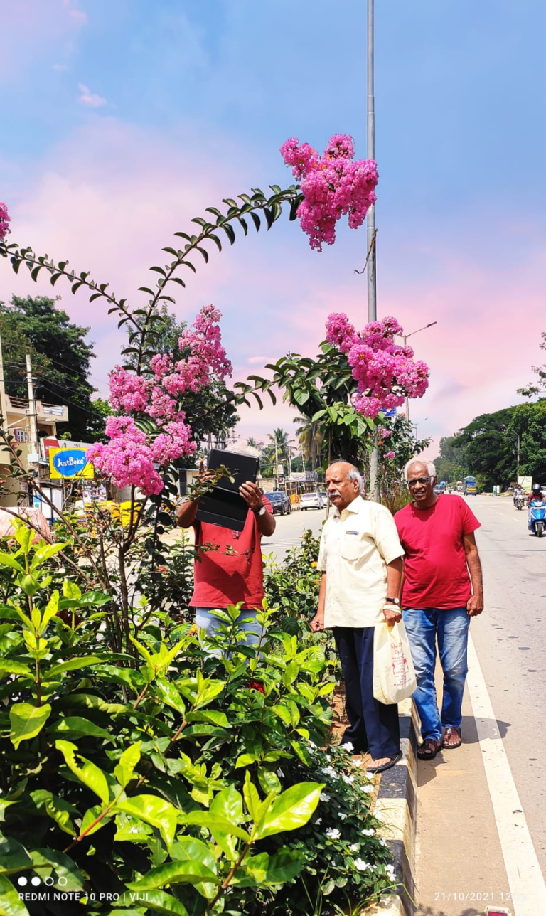 Designing Ecological Health